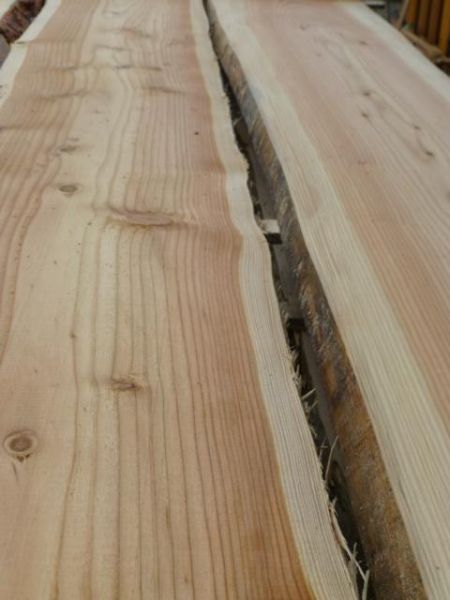 Schwartenbretter Bonanza Zaun Lärche, 23 mm,160210 mm breit Holz