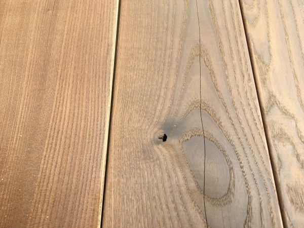 OSMO Thermo Esche 20*105 mm, glatt,