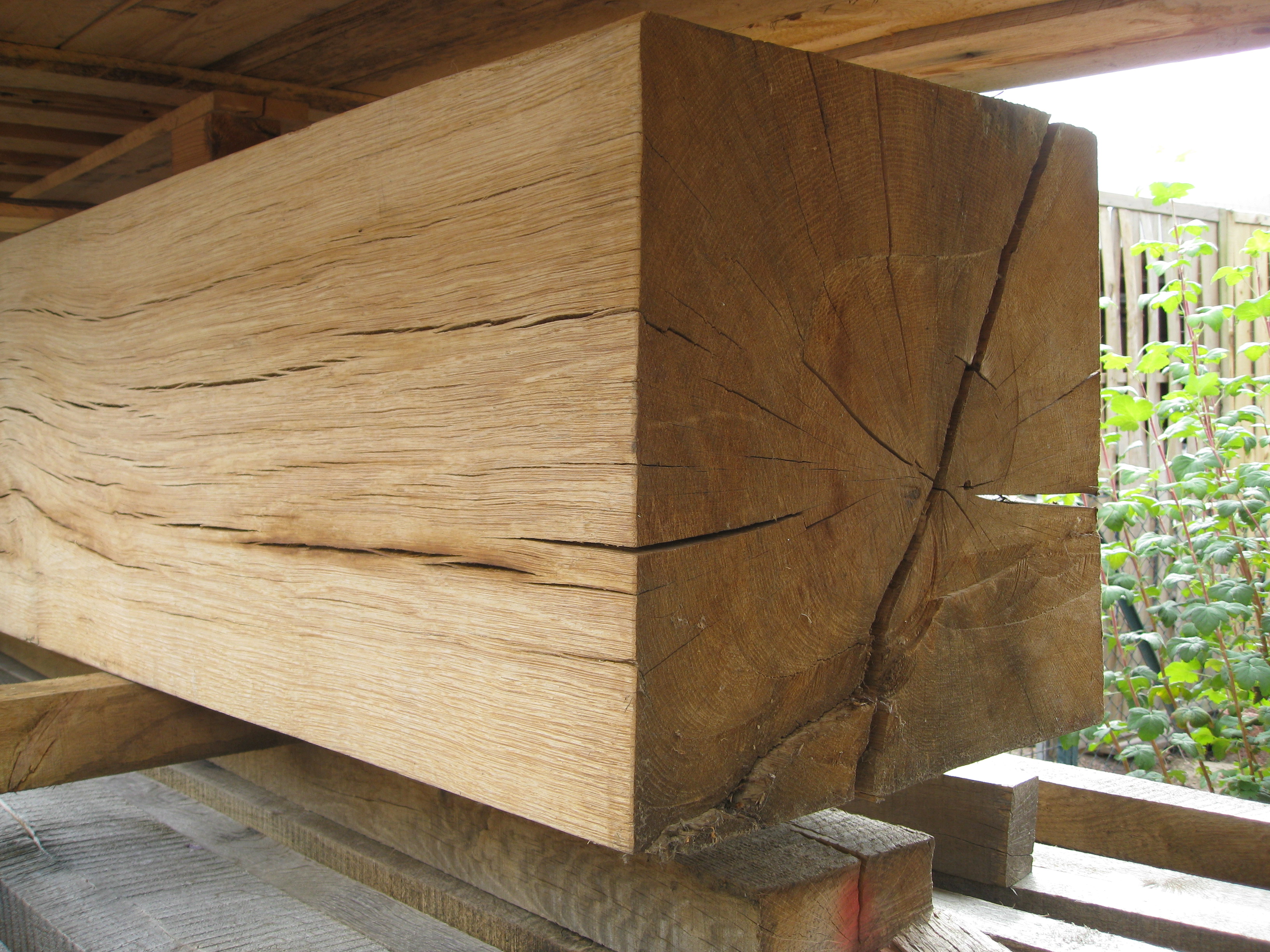 3m lang Kantholz 12x12 Eichenbalken 12 x 12 Kanthölzer aus Eiche 